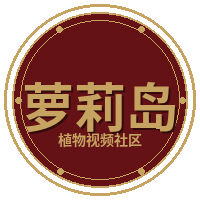 萝莉岛